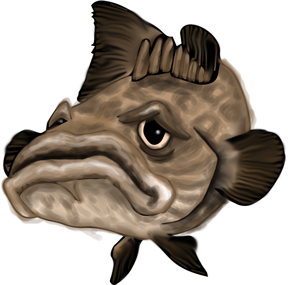 We Want Your Pictures For The Fish Box - Grouper Cartoon (600x600)