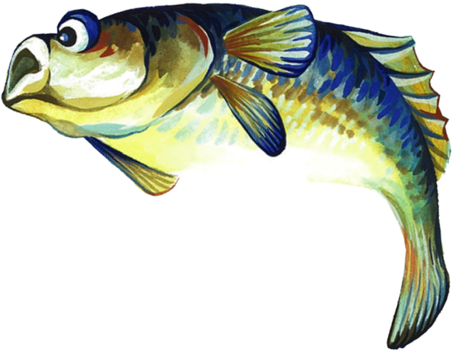 Report Card Image - Report Card (642x494)