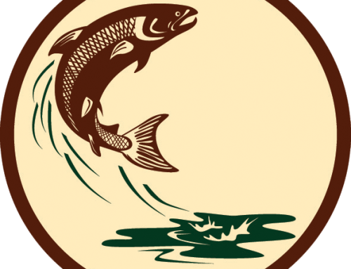 A Fly-fishing Celebration - Salmon Jumping Out Of Water (500x383)