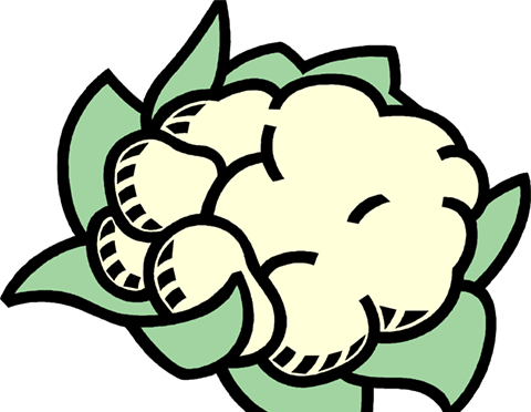 Getting To This Point In My Last Pregnancy Seamed To - Sources Of Food For Grade 1 (480x372)