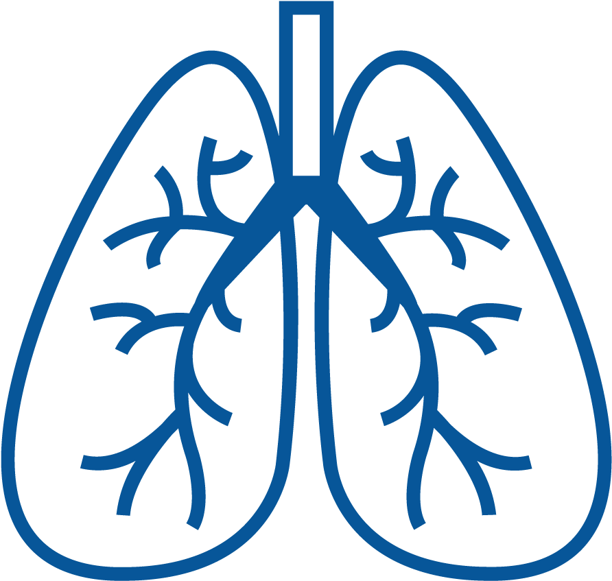 An Under-diagnosed And Expensive Condition - Bronchi Icon (900x900)