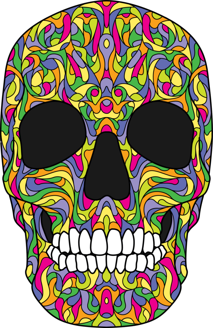 Colorful Skull Png (720x1110)