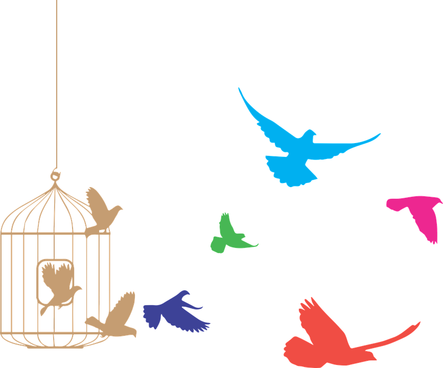 Source - - Birds Flying From Cage (867x720)