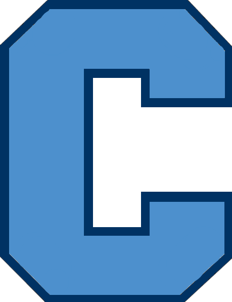 Citadel Bulldogs Wordmark - The Citadel Bulldogs (459x597)