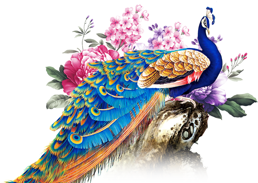 Peafowl Rangoli Graphic Design - Peacock Background (1000x600)