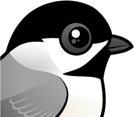 About The Carolina Chickadee - Black Capped Chickadee Cartoon (440x440)