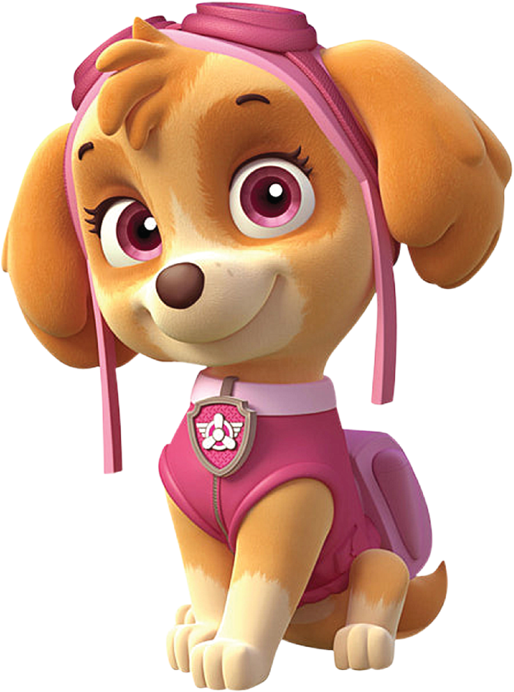 Wheelgate Park Paper Birthday Patrol Clip Art - Paw Patrol Cartoon Characters (1805x2428)