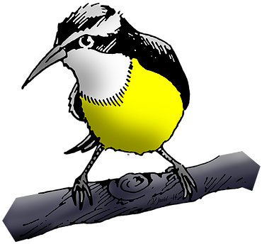 If You Are Looking For A New Business Image Or Just - Western Meadowlark (429x429)