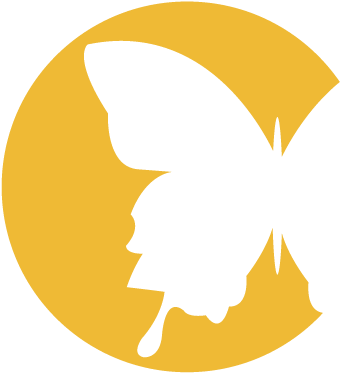 Nevada Coalition To End Domestic And Sexual Violence - Ncedsv Presents: Beyond #metoo, Utilizing Momentum (382x382)