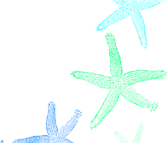 Star Ocean Clipart Starfish - Fish Clip Art (640x480)