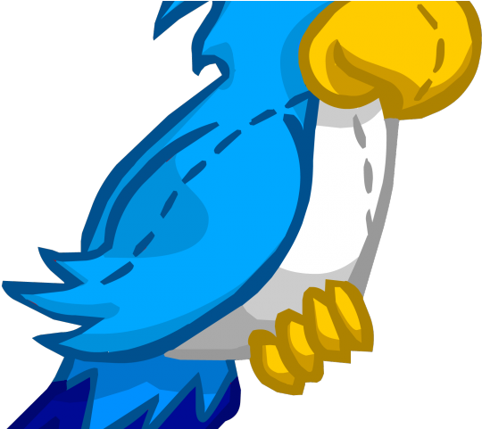 Parrot Clipart Blue Parrot - Club Penguin Green Parrot (640x480)