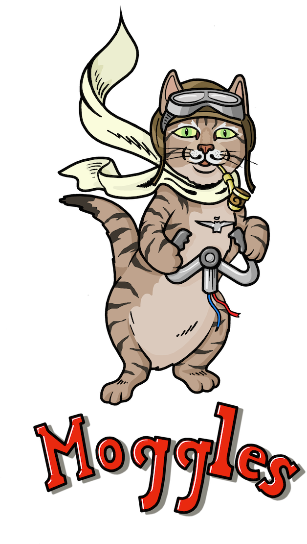 The London Perl Workshop, Which Is Also Known As The - Cat (700x1138)