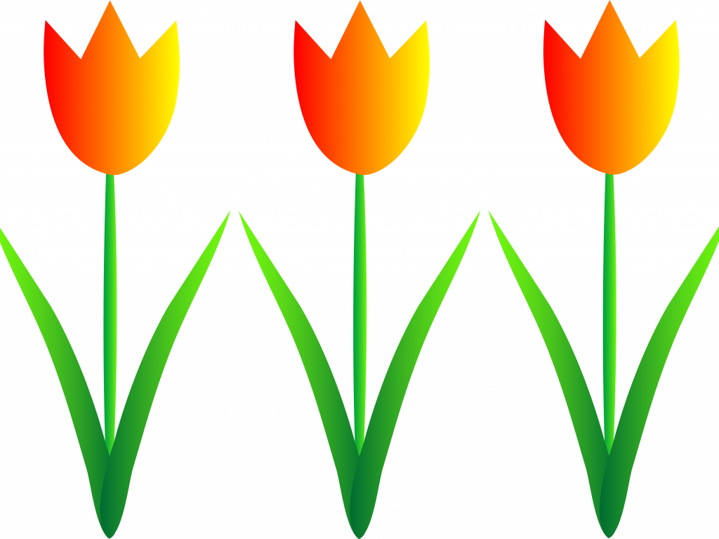 Free Tulip Clipart - April Flowers Clip Art (1024x768)