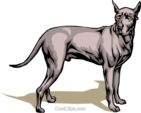 Great Dane Royalty Free Vector Clip Art Illustration - Clip Art (480x385)