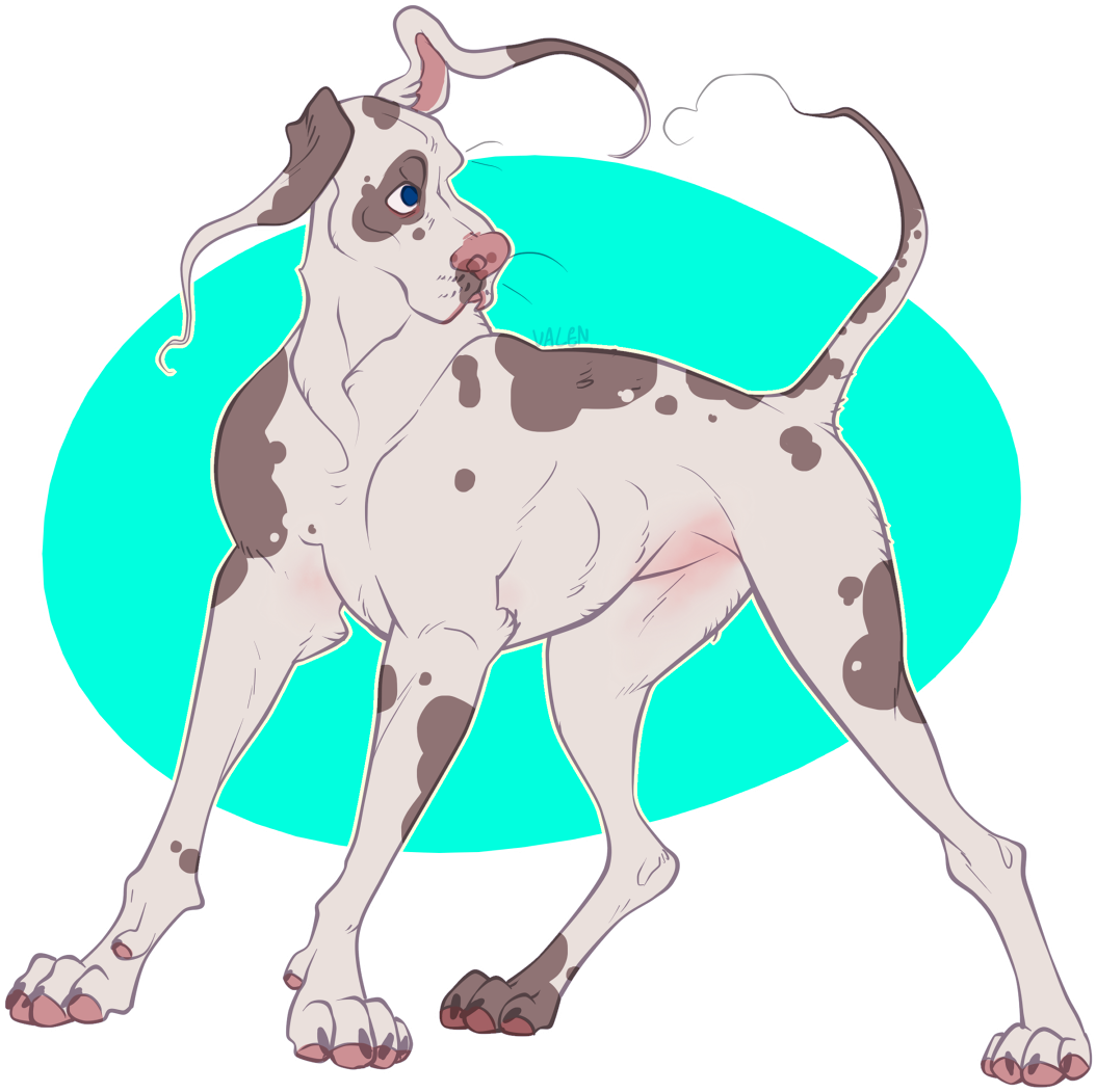 Lets Face It Everyone Gelerts Are Just Great Danes - Dog Catches Something (1065x1062)