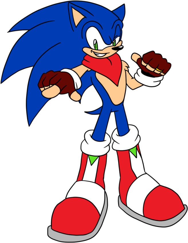 Chaotic Discovery Sonic Bio By Sonikkufan94 - Cartoon (794x1006)