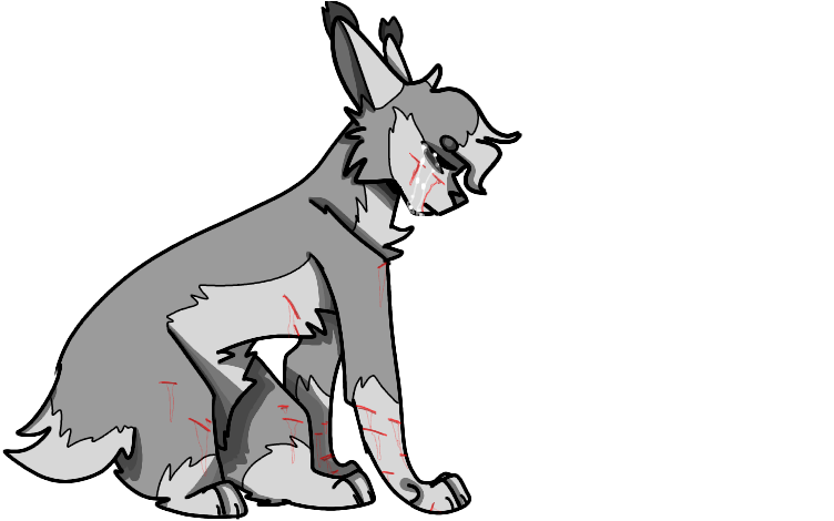 View Deviation - Dog Catches Something (757x520)