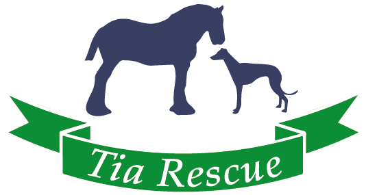 Tia Greyhound And Lurcher Rescue - Hutton Rudby (534x285)