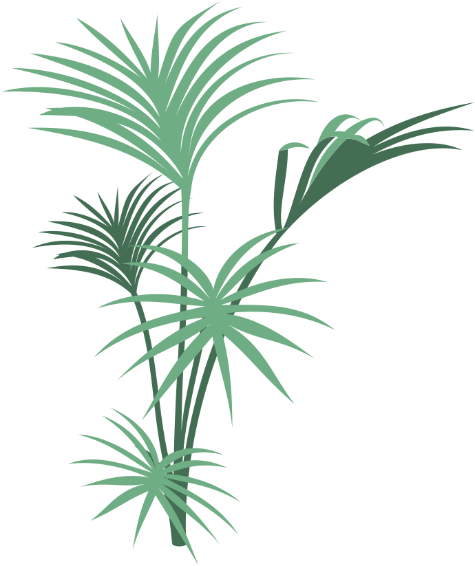 First, We Have The Return Of Our Field Correspondent, - Jungle Plants Png Transparent (690x823)