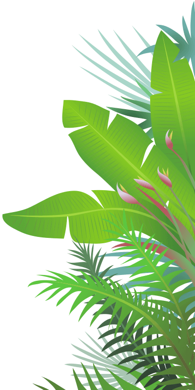 Jungle Leaves - Jungle Leaf Png (400x800)