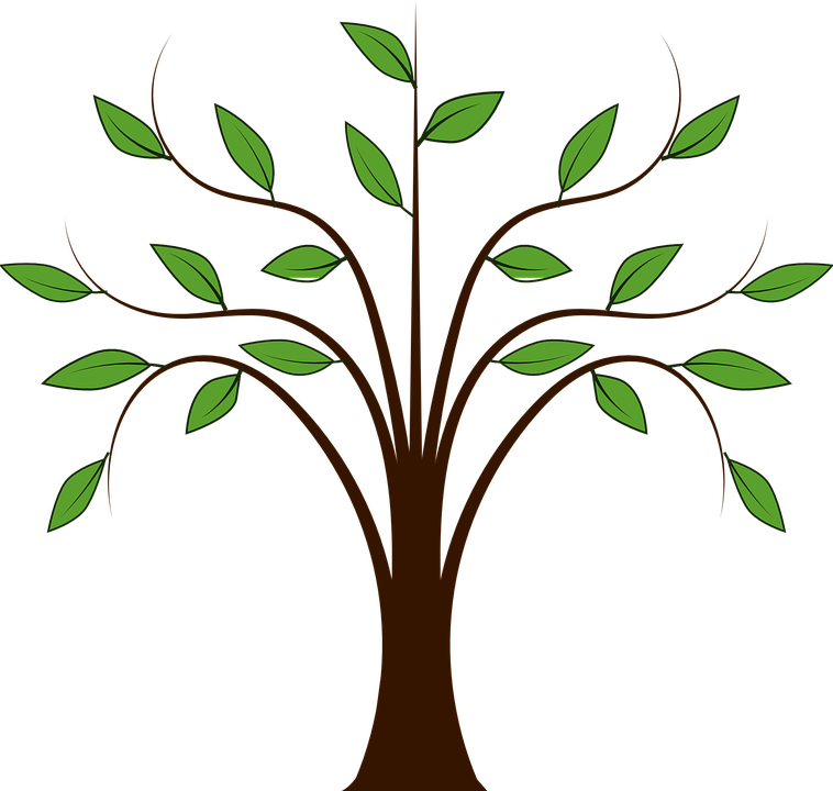 Jungle Plant Cliparts 15, Buy Clip Art - Cartoon Tree With Branches (758x720)
