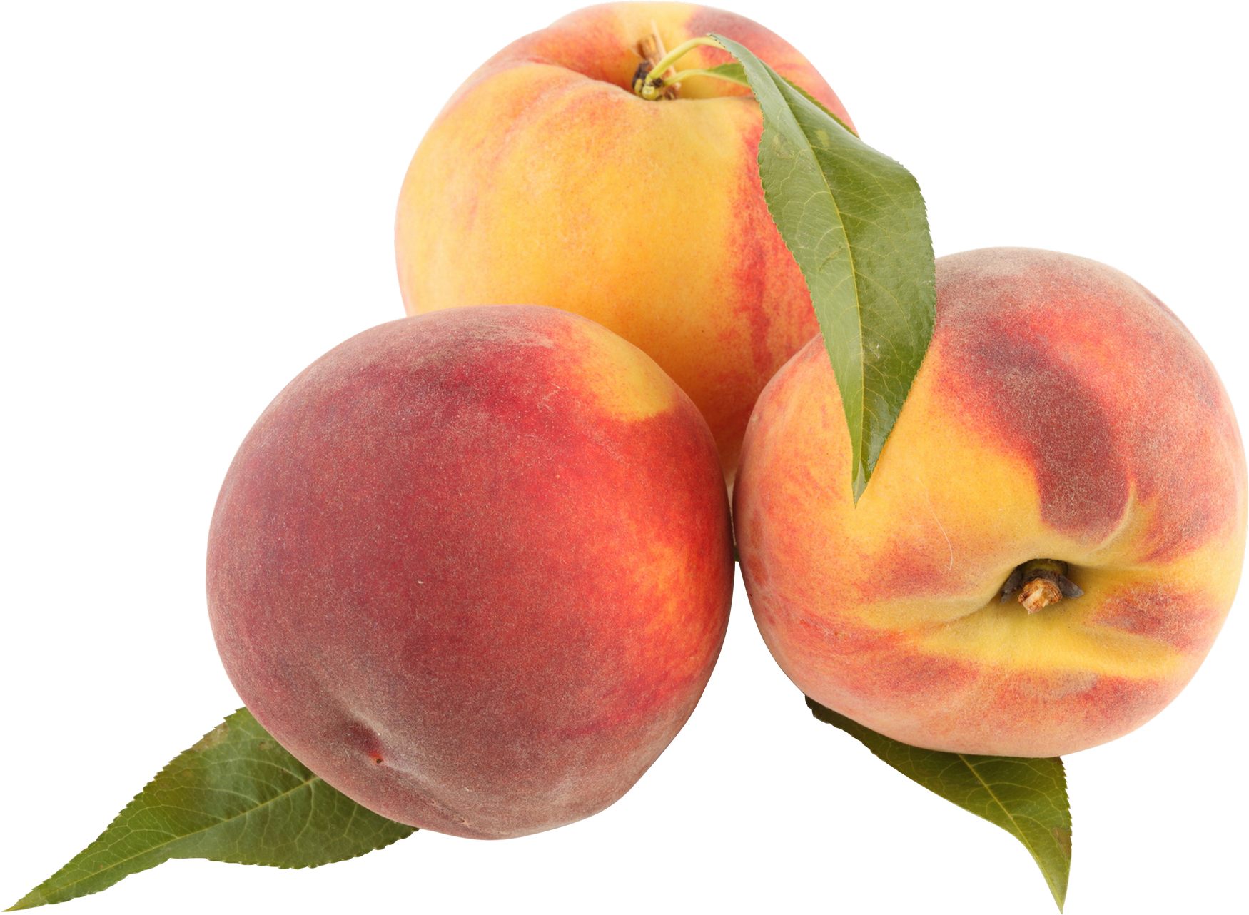 Peach - Peach Png (1750x1282)