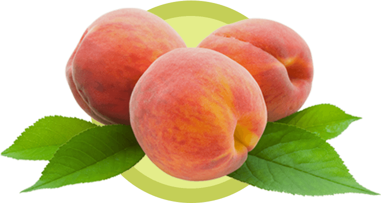 Although Its Botanical Name Prunus Persica Suggests - Biofinest - Peach Fragrance Oil - 100% Fresh & (800x441)