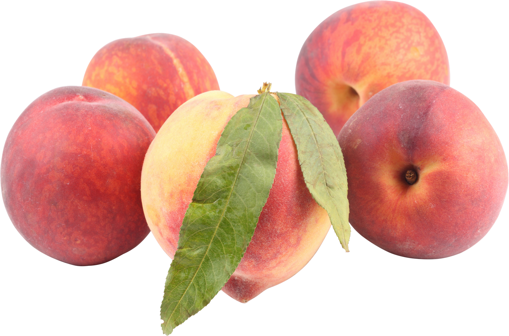 Peach - Peaches Png (1753x1159)