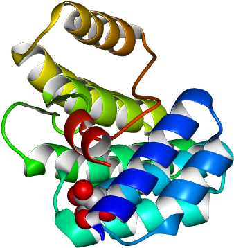Logo Line Clip Art - Illustration (768x768)