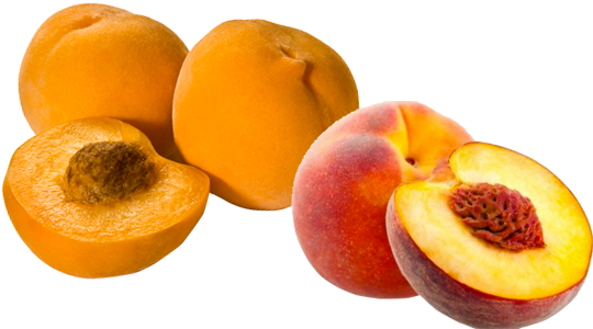 Clingstone And Free Stone Peaches - Rock (550x325)