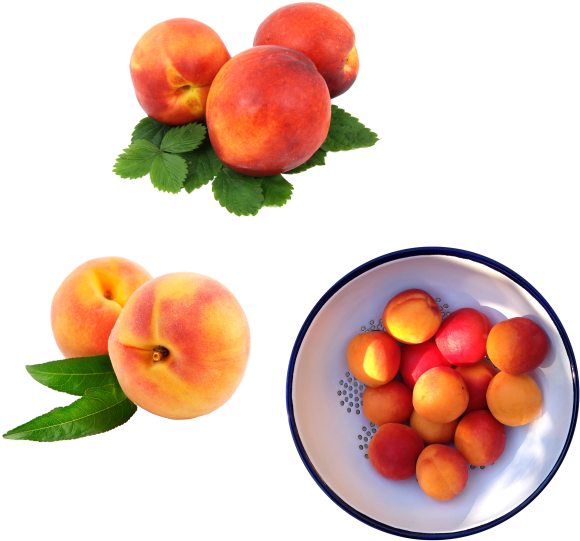 Smoothie Pregnancy Fruit Food Eating - Malizia Bonbons Milk And Peach Shampoo&body Wash (605x598)