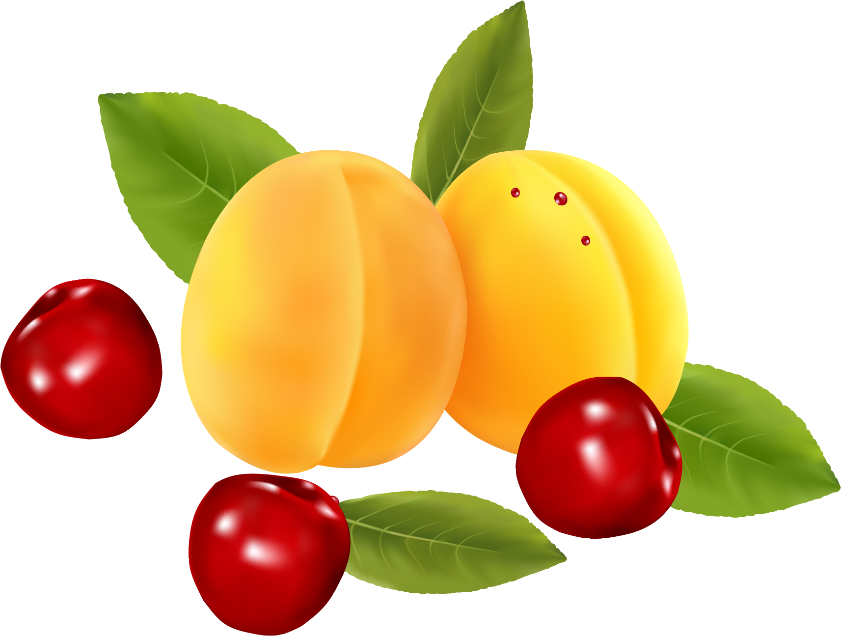 Peach Cherry Icon - Fruit (1795x1385)