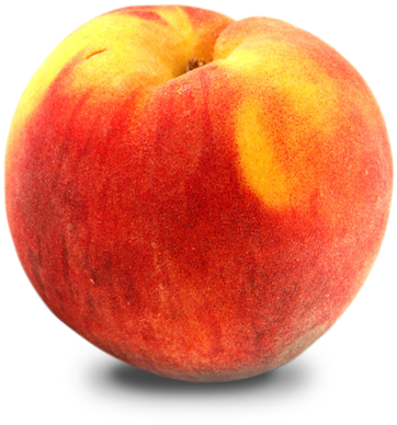 Peach Hq Definition Wallpaper - Large Peaches (407x407)