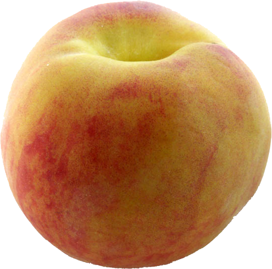 Peach - Peach Fruit (550x543)
