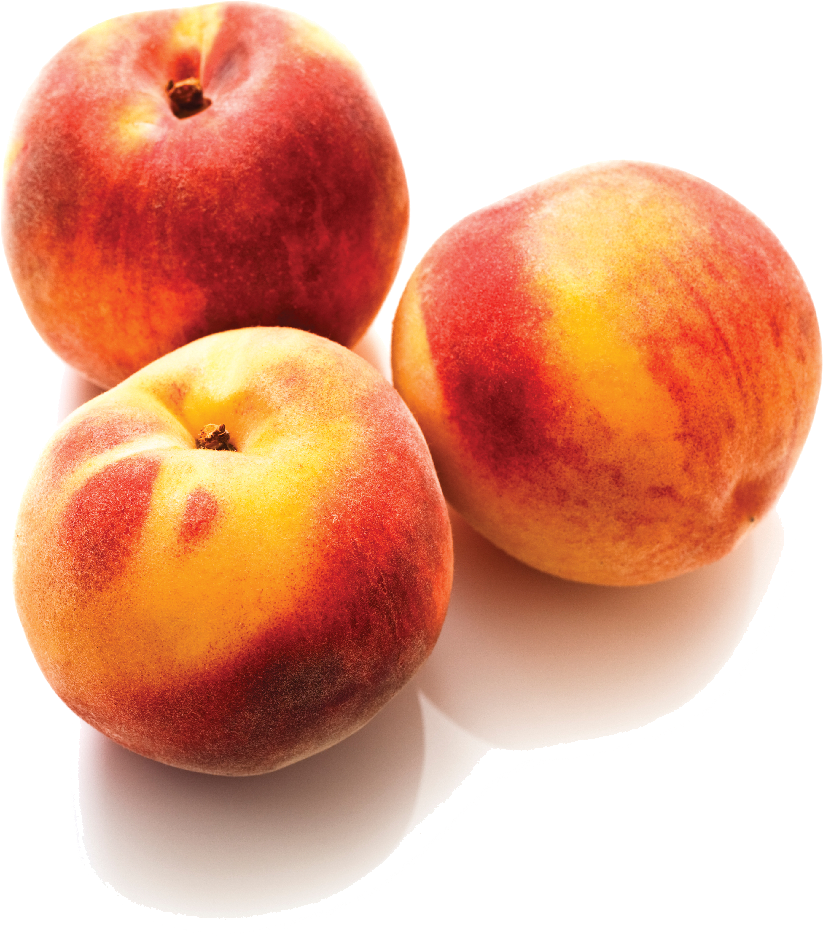 Beneficial Tool For Fruit And Berry Growers How To - Berry (2826x3270)