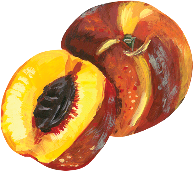 Yellow Peaches Are Native To China, But The Name “peach” - Fruit (800x651)