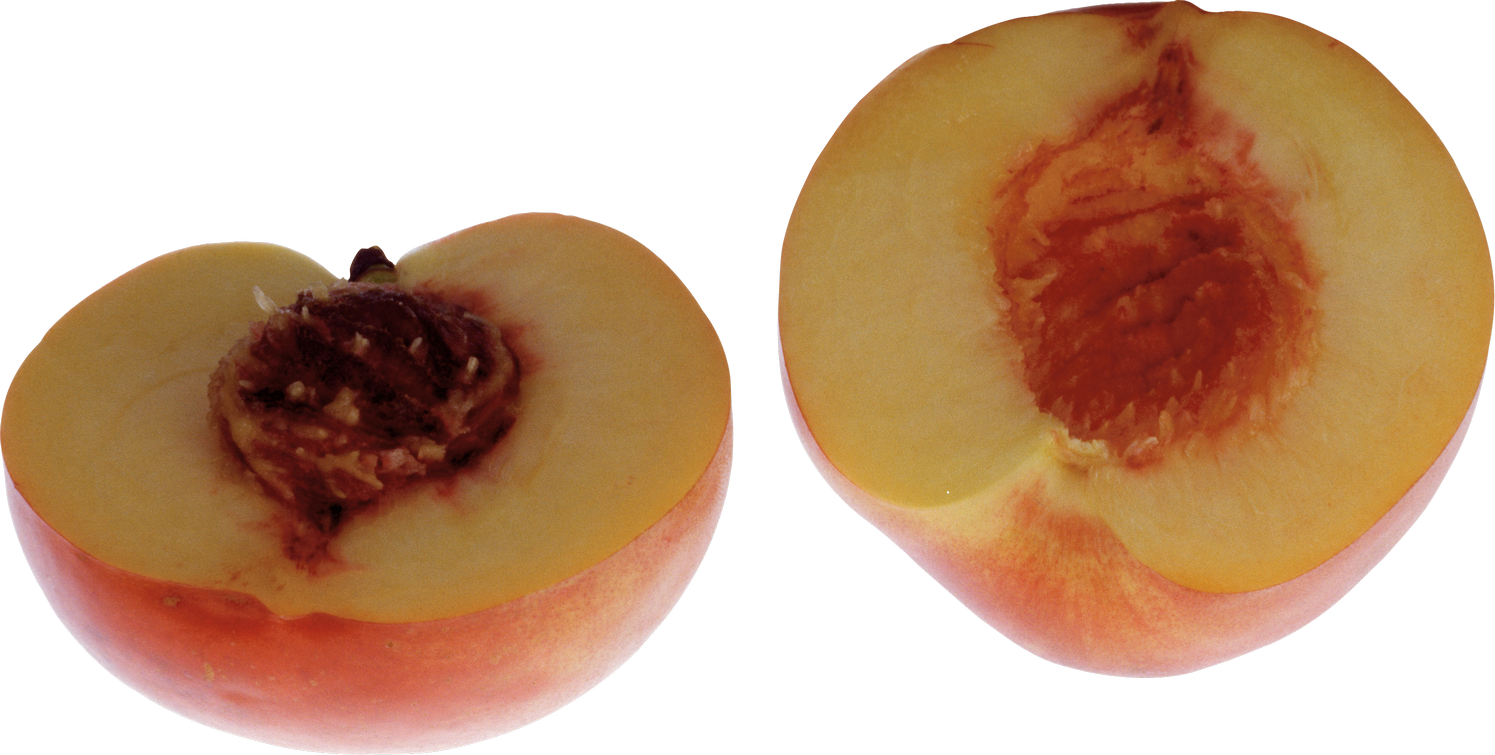 Peach - Nectarine (1495x755)