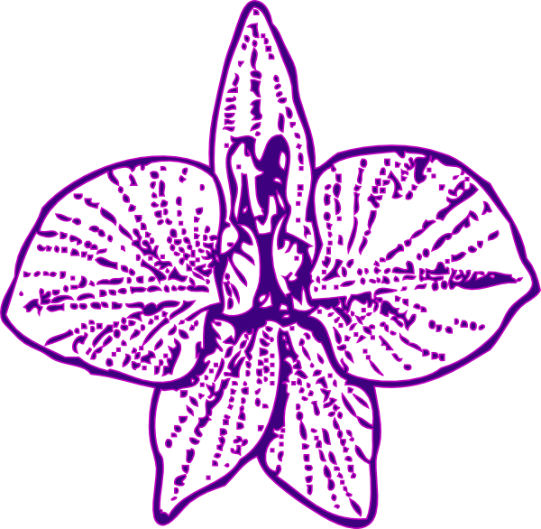 Orchid Outline Png (600x586)