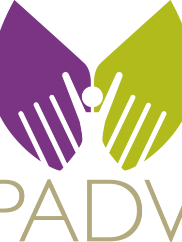 Partnership Against Domestic Violence - Organizations Against Domestic Violence (376x500)