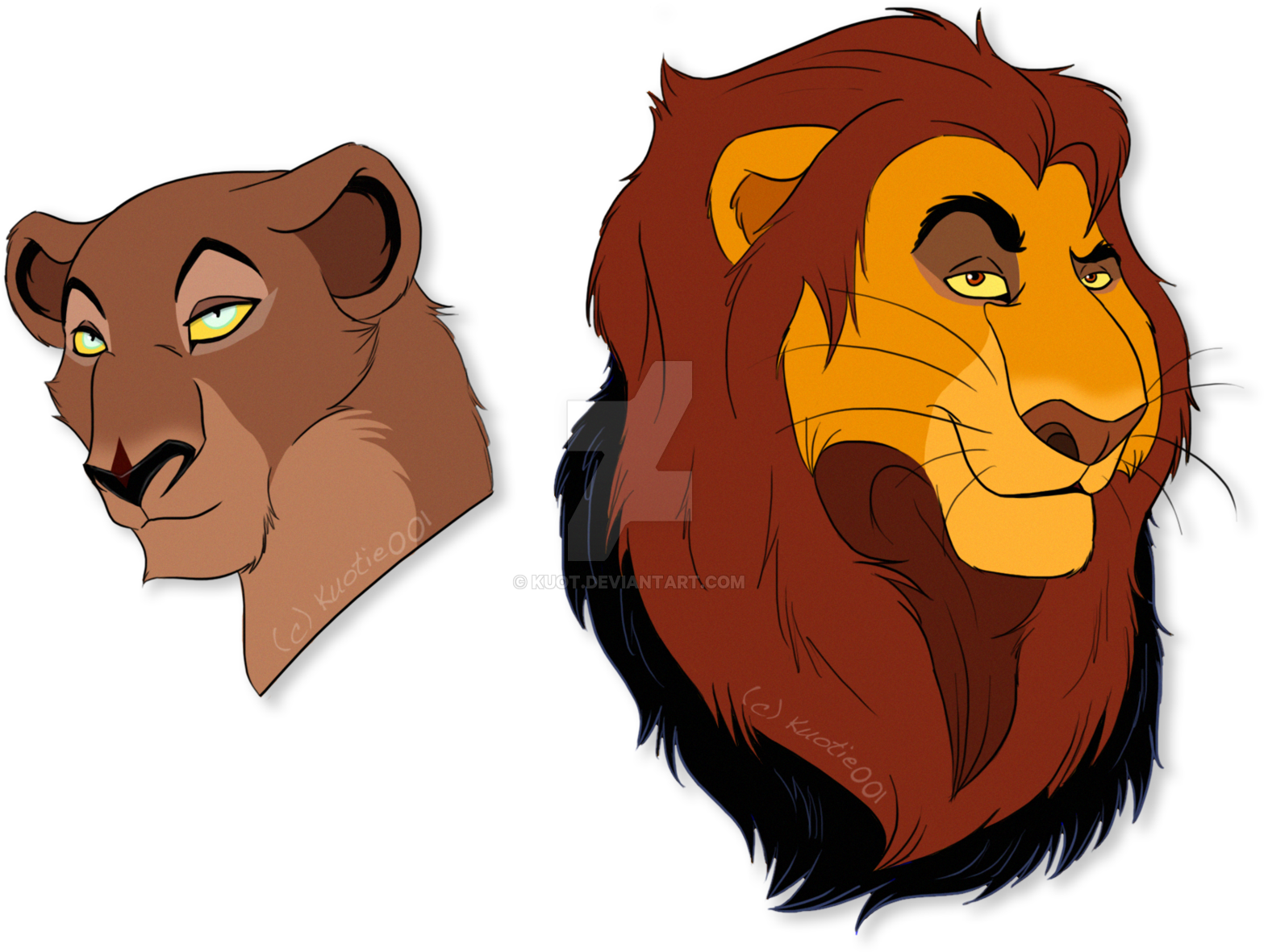 Lion Big Cat Snout - Kuot Language (1600x1218)