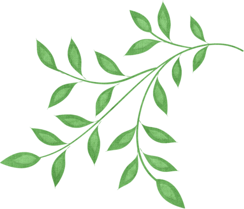 0 1808fb Af12a927 L - Branch And Leaves Clipart (500x427)