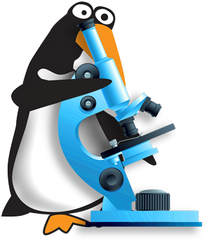 Our Expert Inspector Has The Special Tools Needed To - Water Damage (360x386)