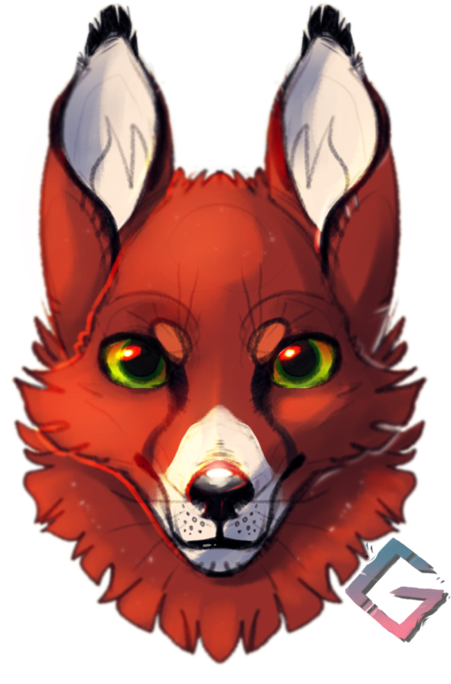 Fox By Gem1ny - Illustration (798x1001)