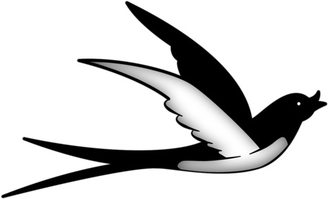 Swallows - European Swallow (500x334)
