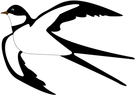 Publicat De Eu Ciresica La - Golondrinas De Graduacion Para Colorear (500x345)