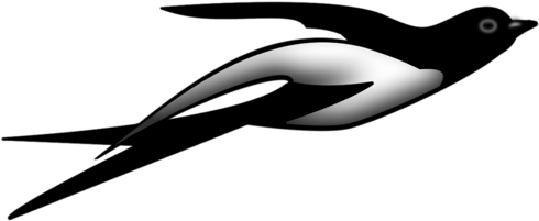 Swallows - Illustration (500x272)