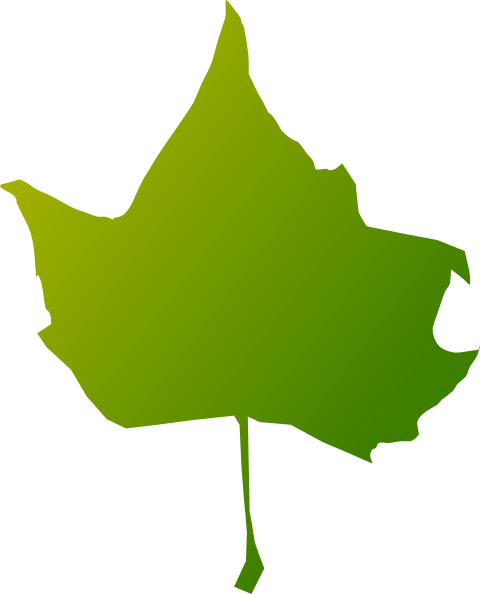 This Free Clip Arts Design Of Torn Maple Leaf Green - Clip Art (480x594)