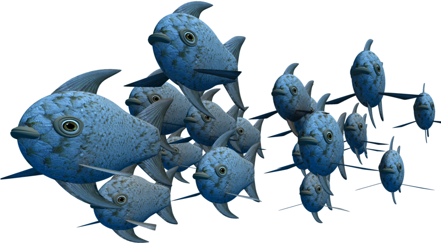 Finding Nemo School Of Fish Download - School Of Fish Png (900x695)