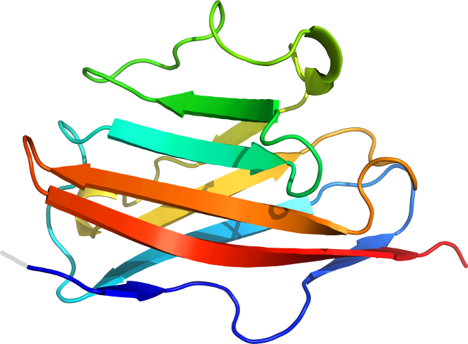 D1pkqj1 In Context Of Chain - D1pkqj1 In Context Of Chain (679x500)