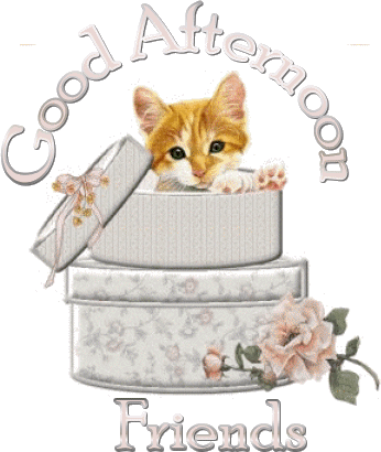 Good Afternoon Sister And All,have A Good Time Xxx - Cat Good Morning Gif (346x410)
